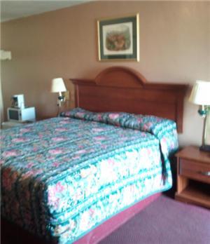Shamrock Motel Hot Springs Ruang foto